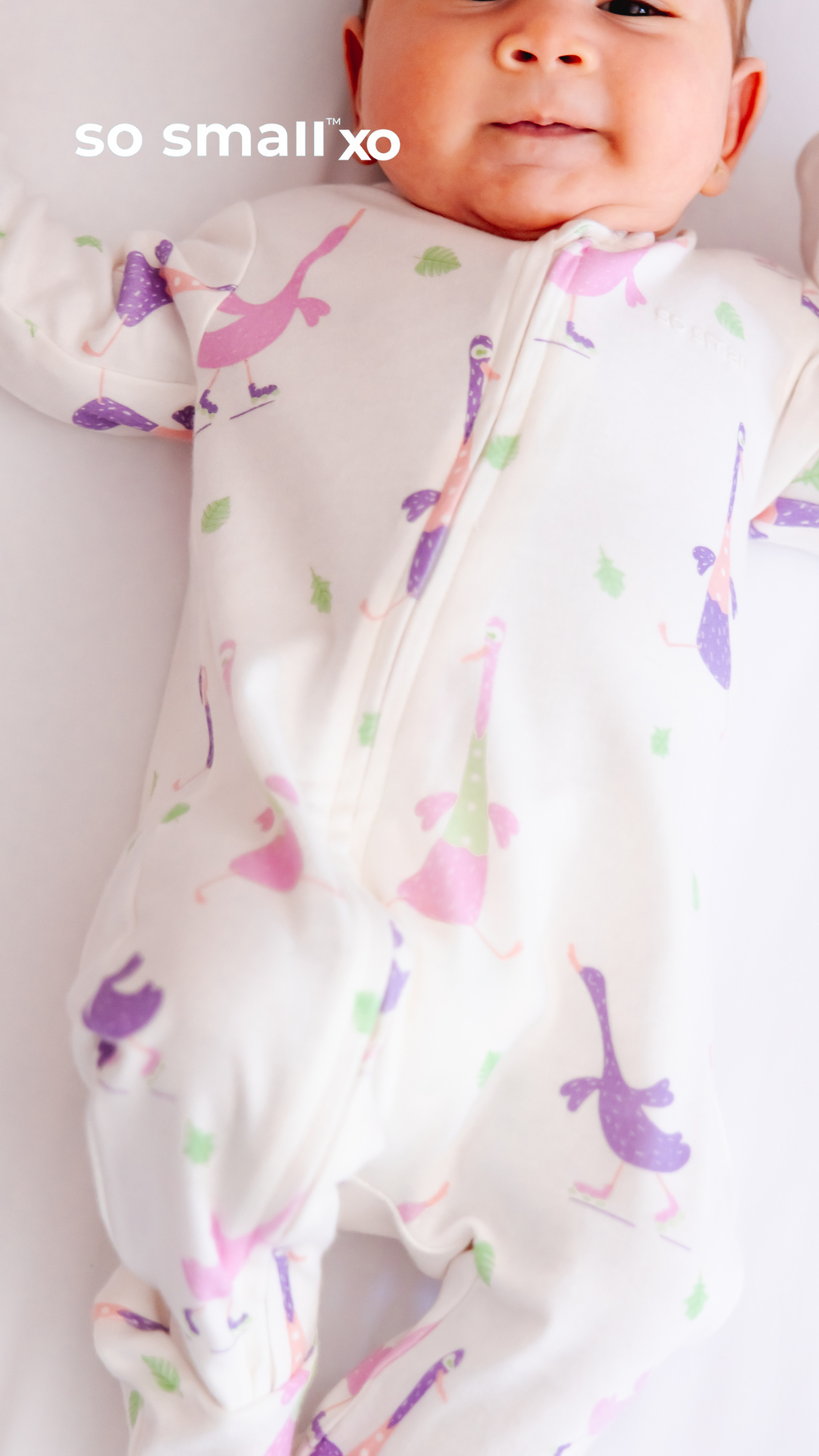 so small xo Zipper Footie- Goose Gone Loose