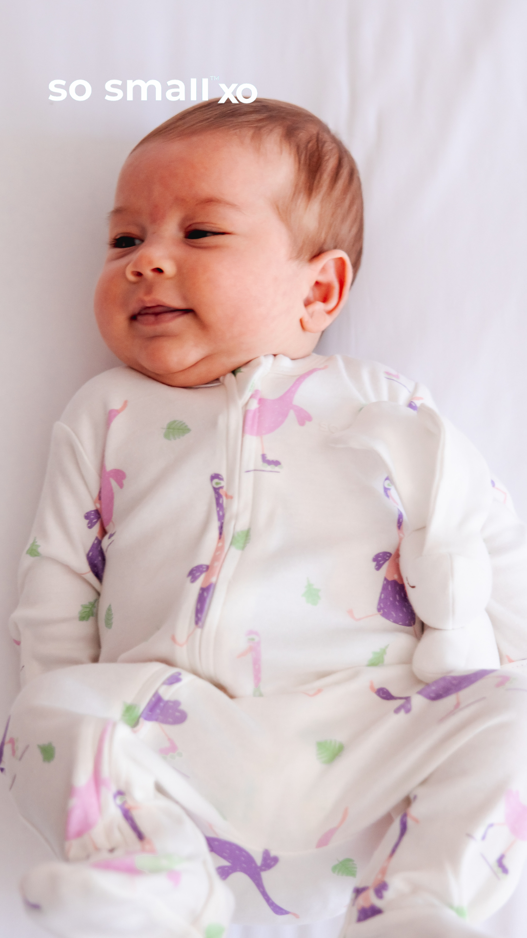 so small xo Zipper Footie- Goose Gone Loose