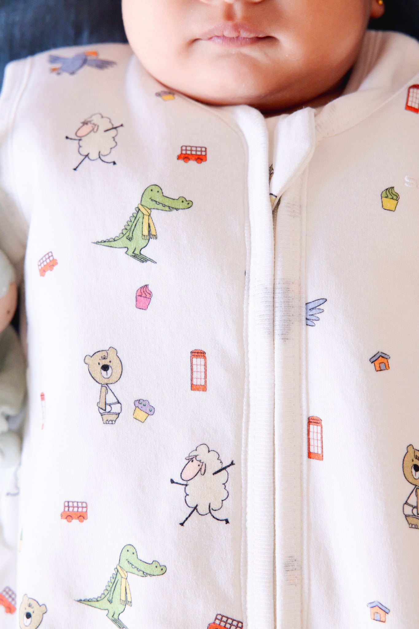Organic Padded Sleeping Bag- Playdates & Cupcakes